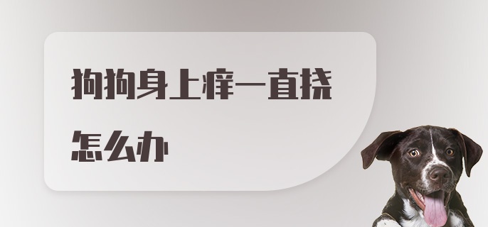 狗狗身上痒一直挠怎么办