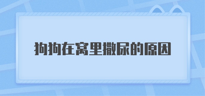 狗狗在窝里撒尿的原因