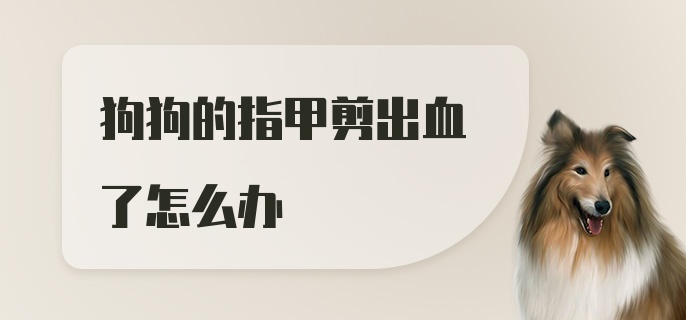 狗狗的指甲剪出血了怎么办