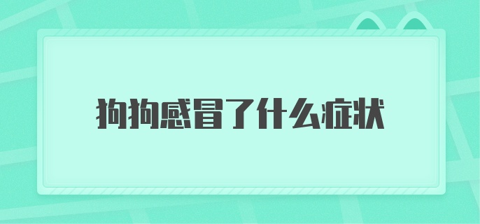 狗狗感冒了什么症状