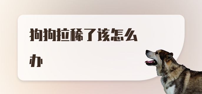 狗狗拉稀了该怎么办