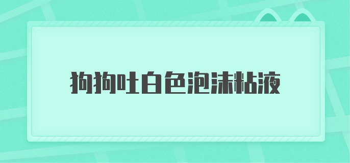 狗狗吐白色泡沫粘液