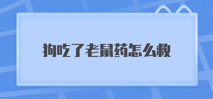 狗吃了老鼠药怎么救