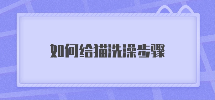 如何给猫洗澡步骤