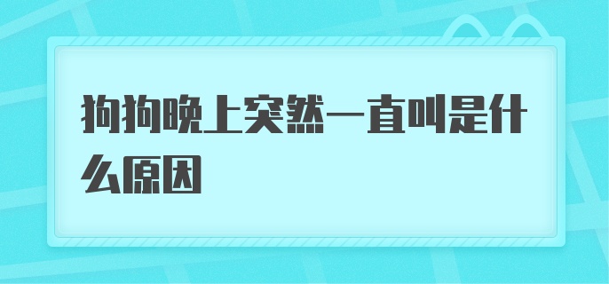 狗狗晚上突然一直叫是什么原因