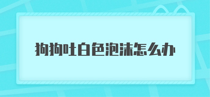 狗狗吐白色泡沫怎么办