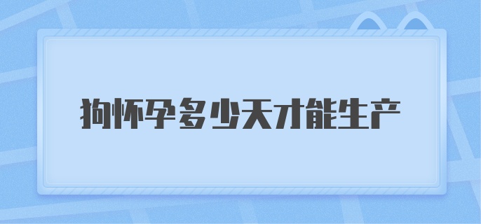 狗怀孕多少天才能生产