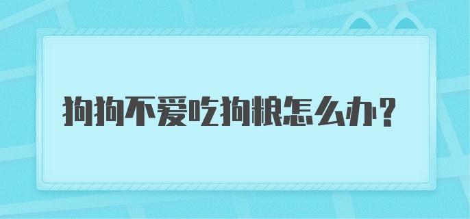 狗狗不爱吃狗粮怎么办?