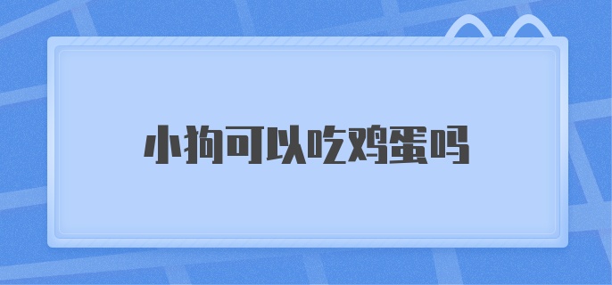 小狗可以吃鸡蛋吗