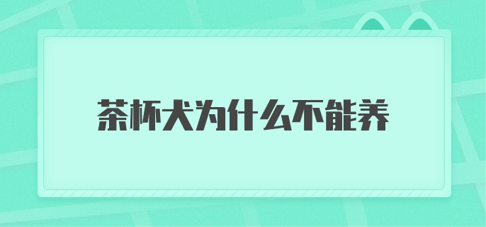 茶杯犬为什么不能养