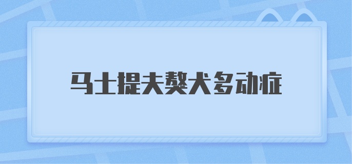 马士提夫獒犬多动症