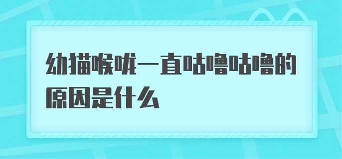 幼猫喉咙一直咕噜咕噜的原因是什么