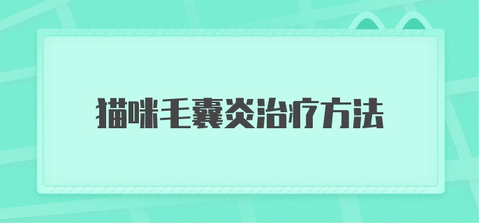 猫咪毛囊炎治疗方法