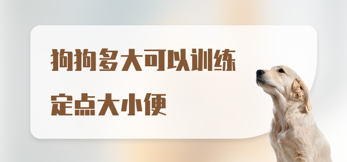 狗狗多大可以训练定点大小便