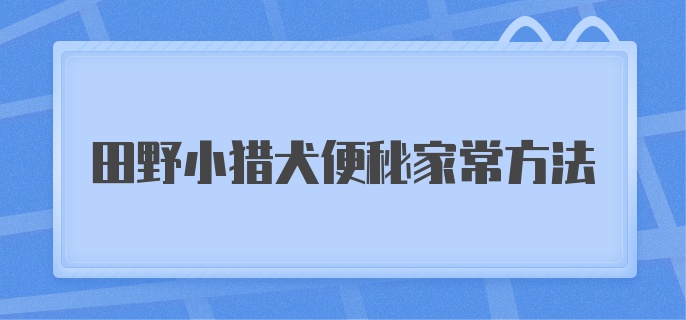 田野小猎犬便秘家常方法