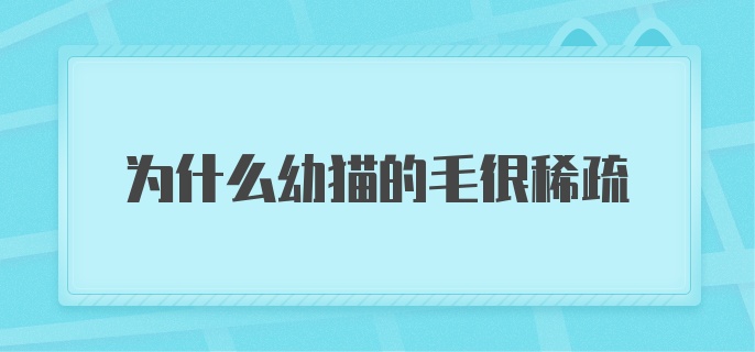 为什么幼猫的毛很稀疏