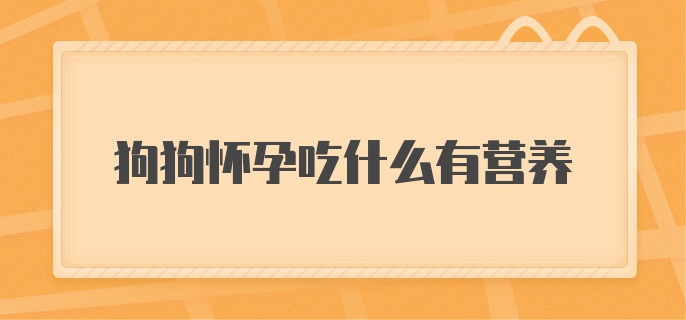 狗狗怀孕吃什么有营养