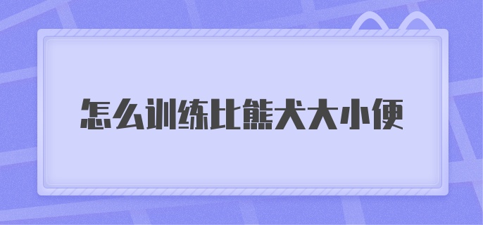 怎么训练比熊犬大小便