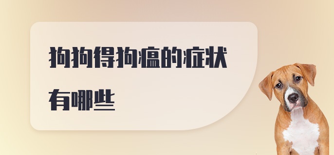 狗狗得狗瘟的症状有哪些