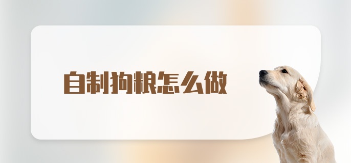 自制狗粮怎么做