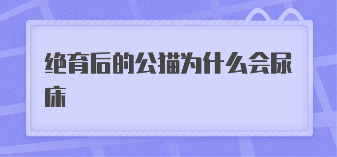 绝育后的公猫为什么会尿床