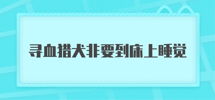 寻血猎犬非要到床上睡觉