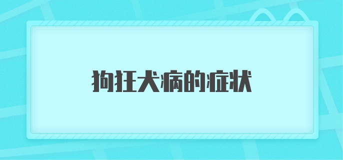 狗狂犬病的症状