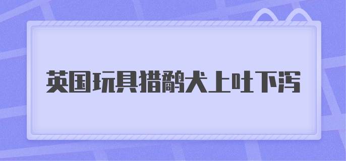 英国玩具猎鹬犬上吐下泻