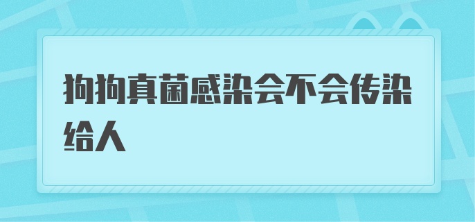 狗狗真菌感染会不会传染给人