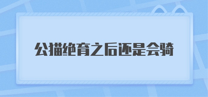 公猫绝育之后还是会骑