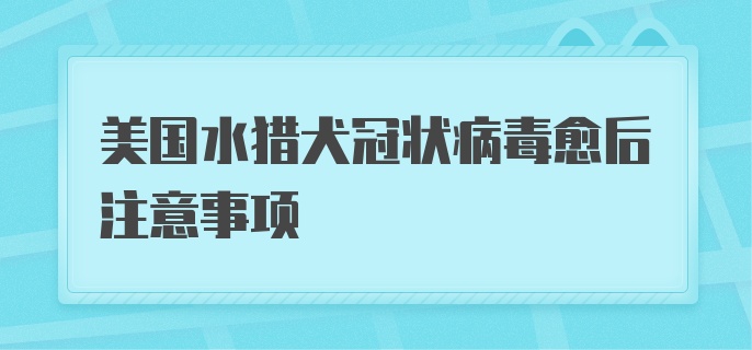 美国水猎犬冠状病毒愈后注意事项