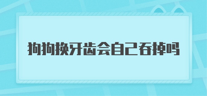 狗狗换牙齿会自己吞掉吗