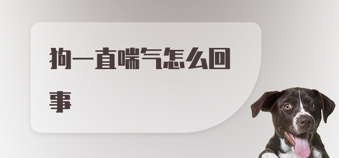 狗一直喘气怎么回事