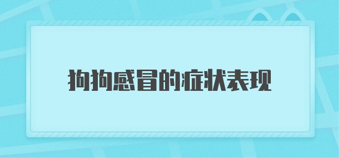 狗狗感冒的症状表现