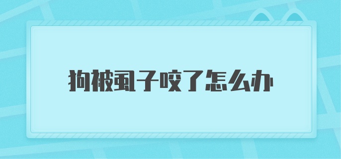 狗被虱子咬了怎么办