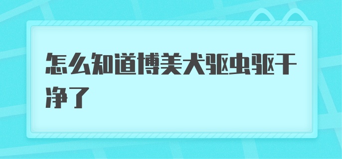 怎么知道博美犬驱虫驱干净了