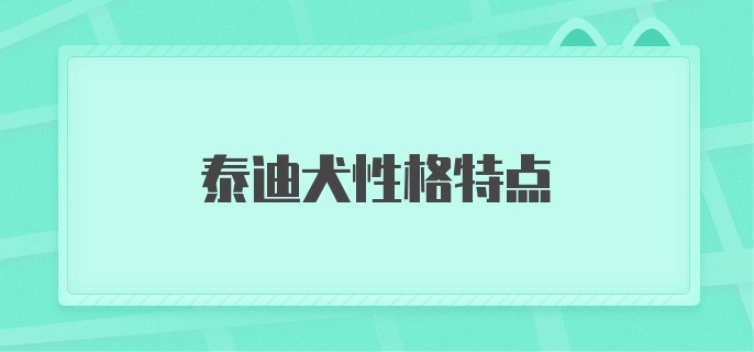 泰迪犬性格特点