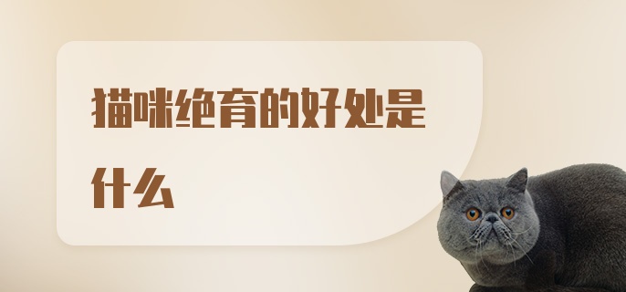 猫咪绝育的好处是什么