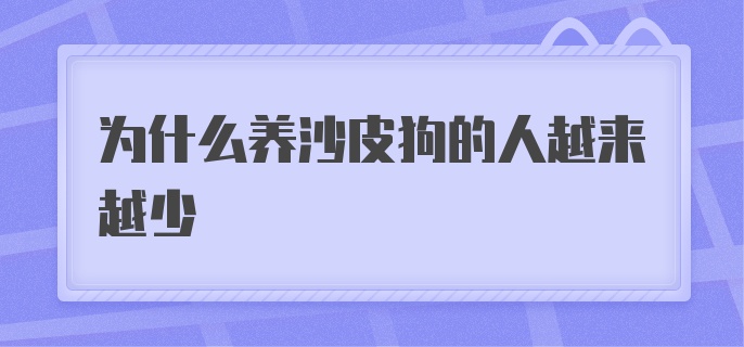 为什么养沙皮狗的人越来越少