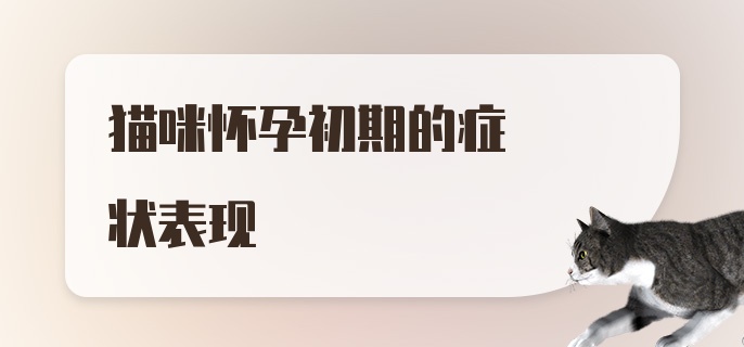 猫咪怀孕初期的症状表现