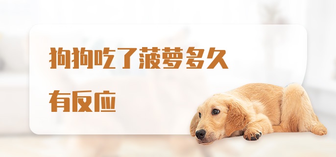 狗狗吃了菠萝多久有反应