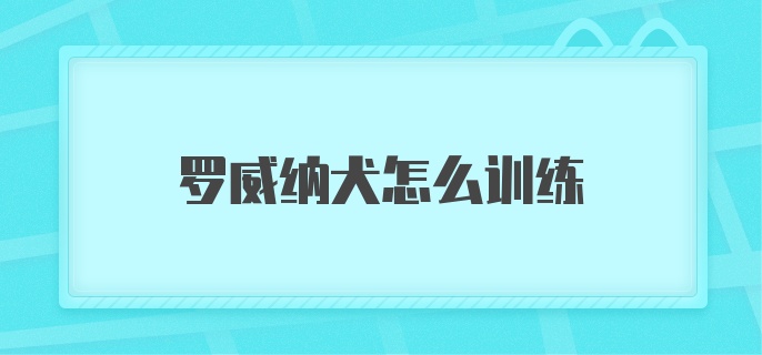 罗威纳犬怎么训练