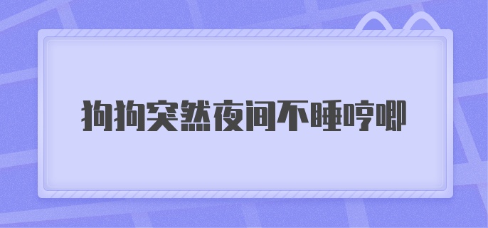 狗狗突然夜间不睡哼唧