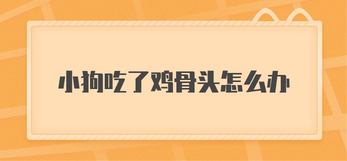 小狗吃了鸡骨头怎么办