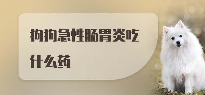 狗狗急性肠胃炎吃什么药