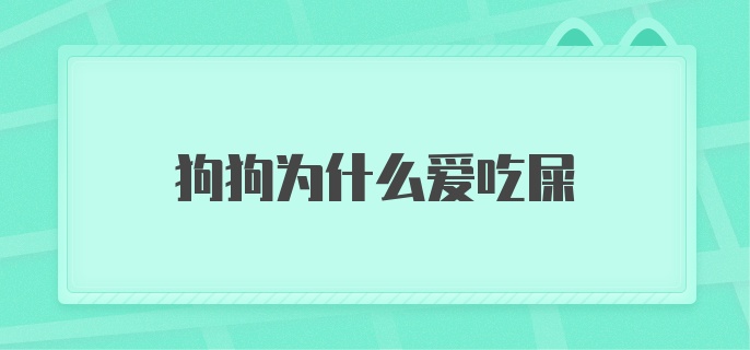 狗狗为什么爱吃屎