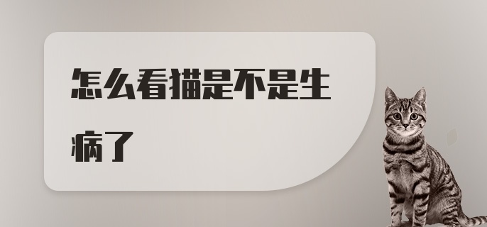 怎么看猫是不是生病了