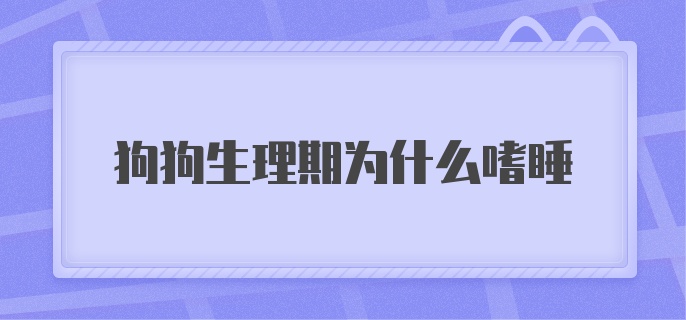 狗狗生理期为什么嗜睡