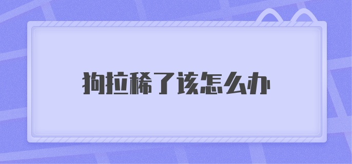 狗狗拉稀了该怎么办？