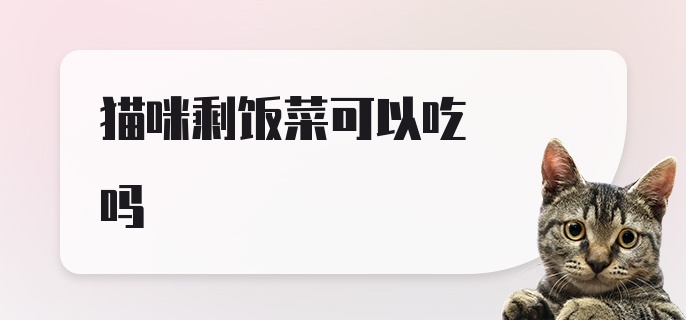 猫咪剩饭菜可以吃吗